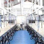 Труба ПВД-44 фото