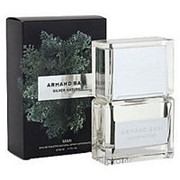 Armand basi silver nature 100 ml edt for man фото