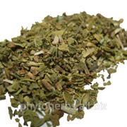 Иван-чай, кипрей мелкоцветный, кипрей узколистный (лист, трава) фото