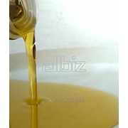 Подсолнечное, рапсовое масло нерафинированное наливом фотография