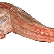 Мясо крокодила (тушка) фото
