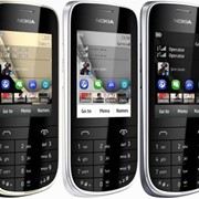 Мобильный телефон Nokia Asha 202 фото