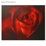 Холст “Роза“ 40х50 см фотография