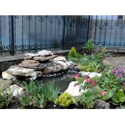 Устройство (создание) водоемов прудов и фонтанов в саду и на дачном участке фото