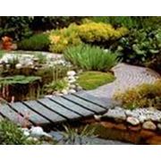 Устройство водоемов Киев фото