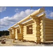 Строительство жилых деревянных домов фотография