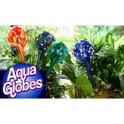 Шары для полива растений Аква Глоб (Aqua Globe) (Оплата при получении) фотография