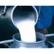 Переработка и реализация молочной продукции фото