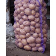 Семенной картофель , Плодоовощные культуры, Картофель, Чернигов фото