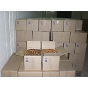 Переработка (очистка калибровка упаковка) и продажа грецкого ореха фото