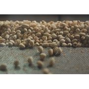 Переработка орехов фото