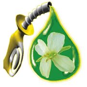 Продаем биодизель “Метиловые эфиры жирных кислот фото