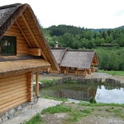 Деревянные дома для отдыха