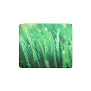 Коврик для мыши Acme Plastic with Sponge Base, grass Green фото