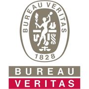 Стандарт BS 25999-2. Сертификация систем управления непрерывностью бизнеса.Создание системы качества фото