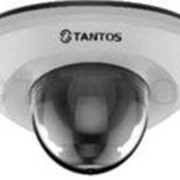 IP видеокамера антивандальная с ИК подсветкой TSi-Dn425FP-F (2.8) фотография