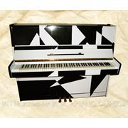 Настройка пианино и роялей, все виды ремонта, регулировка механики фото