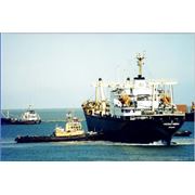 Перевозки грузовые. Перевозки пассажирские и грузовые на внутренних водных путях (Мариупольский морской торговый порт ГП)