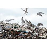 Оксизин для переработки бытового мусора утилизация мусора с применением Оксизина фото