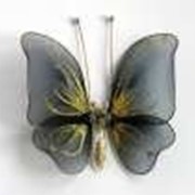 Бабочка маленькая черная 12*9 см фото