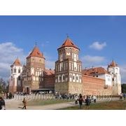 Экскурсия Хатынь-Мирский замок-Брестская крепость-Беловежская пуща фото