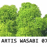 Стабилизированный мох. Цвет Artis Wasabi 07 фото