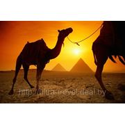 Горящий тур в Египет фотография