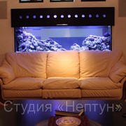 Дизайнерское оформление аквариумов фото
