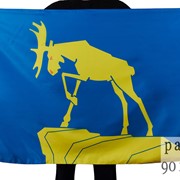 Флаг города Миасс 90х135 см. фото
