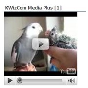 SharePoint Media Plus Web Part (Kwizcom) фото