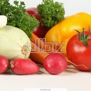 Семена овощных культур фото