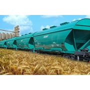 Перевозка сельхозпродукции в вагонах-зерновозах по Украине странам СНГ и Европе фото