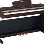 Пианино цифровое Yamaha CLP-320 фотография