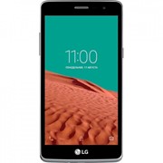 Мобильный телефон LG X155 (Max) Titan (LGX155.ACISST) фото