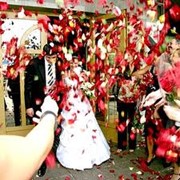 Проведение свадеб фото