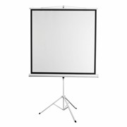 Экран проекционный на треноге 100“ (186х189 см), матовый, 1:1, DIGIS KONTUR-D, DSKD-1105 фото