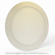 Светильник светодиодный Biom PL-R18 W 18Вт круглый белый фото