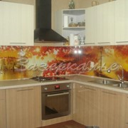 Кухонный фартук из стекла (Скинали) в осенней тематике фото