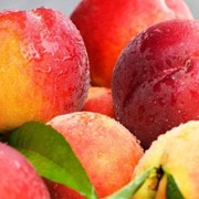 Фрукты оптом от производителя: персики, сливы, яблоки. фото