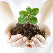 Гербицид Естет 90,5%, к.е. Nufarm фото