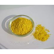 Пигмент жёлтый - Iron oxide Yellow (Y 313) фото