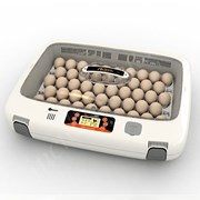 Инкубатор Rcom 50 Pro (Южная Корея) фото