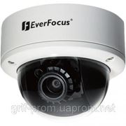 Видеокамера купольная EverFocus ED610X фотография