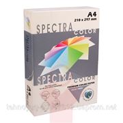 Бумага А4 Spectra Color - Ivory - слон. кость. (1011206)