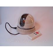 Камера видеонаблюдения поворотная купольная (цветная) HRT-715 (5A3) Color