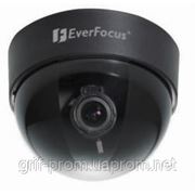 Видеокамера внутренняя EverFocus ED300EPV9A