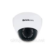 IP видеокамера Brickcom FD-100Ae V2