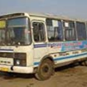 Автобусы PAZ-3206