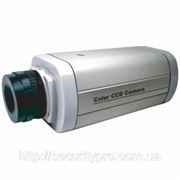 Камера CAMSTAR CAM-820HP Цв.