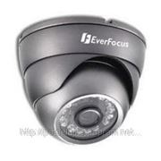 Камера для помещений EverFocus EBD330I-P4 480 ТВЛ, 0.5 lux